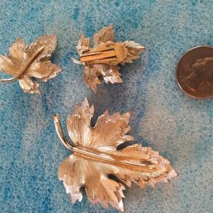 Brooch & Clip Earrings